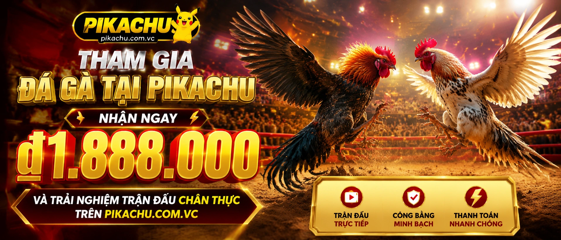 Khu VIP Đá Gà PIKACHU