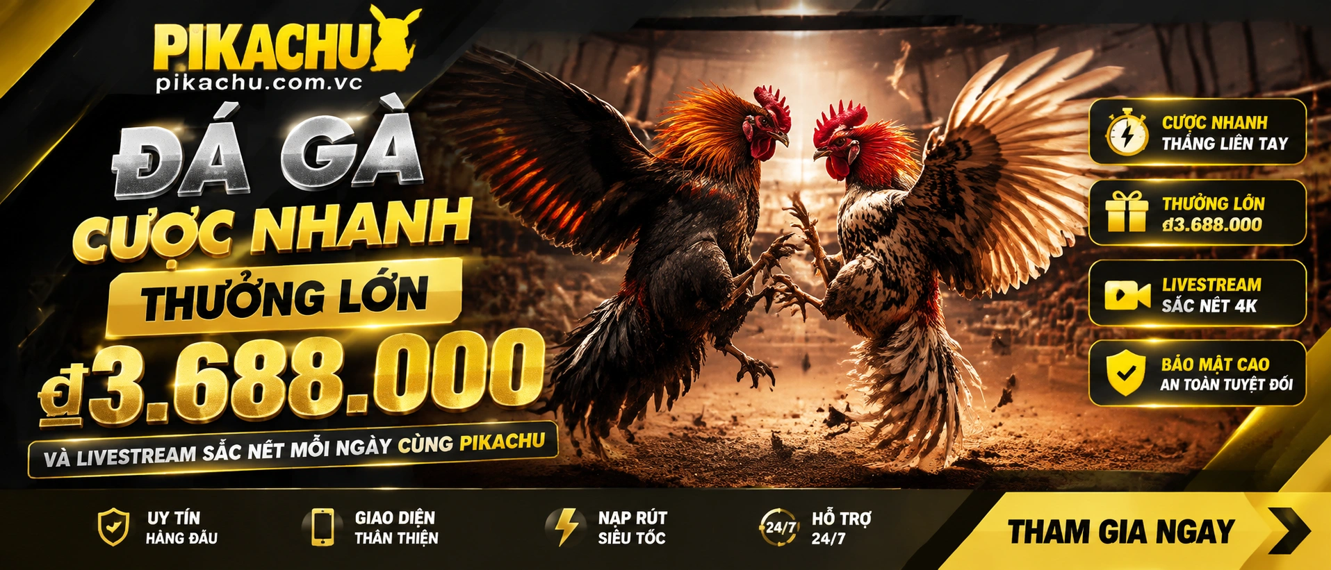 Đá Gà Trực Tiếp nổi bật